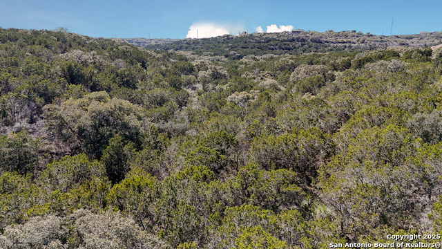 Listing photo id 3 for 171 County Road 2814