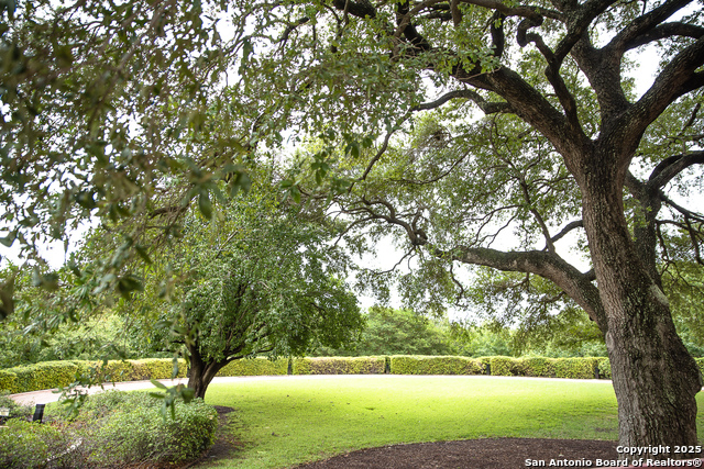 Listing photo id 24 for 1 Towers Park Ln  207