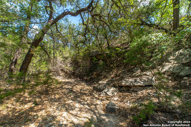 Image 5 of 39 For 1239 Mystic Breeze