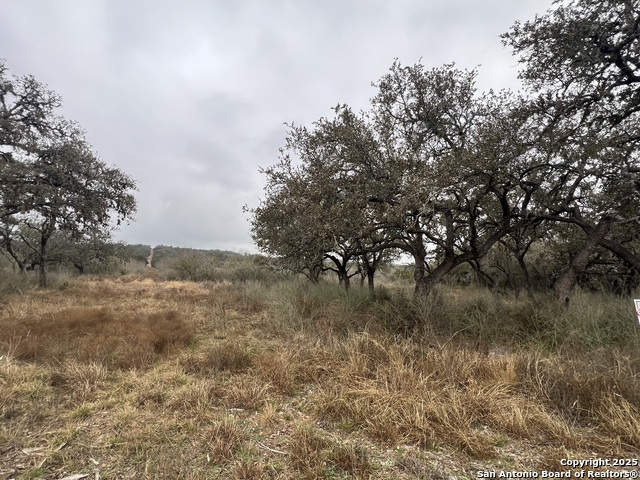 Details for Lot 181 Valley Oaks Ranch Phase 2, Hondo, TX 78861