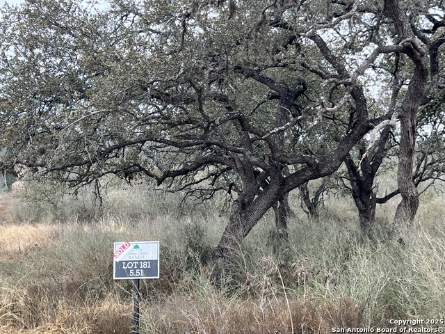 Image 7 of 8 For Lot 181 Valley Oaks Ranch Phase 2