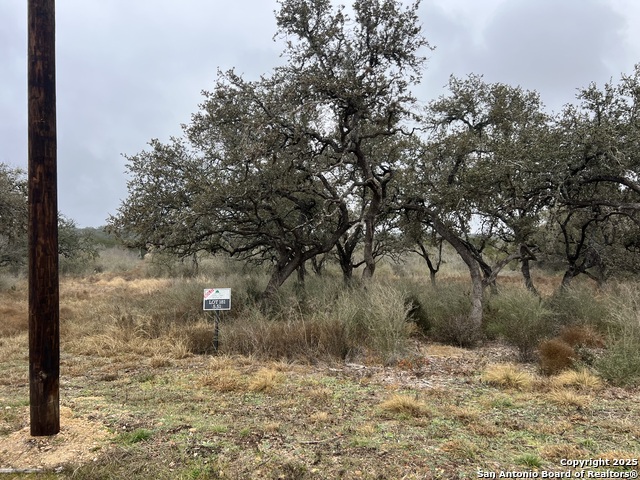 Image 8 of 8 For Lot 181 Valley Oaks Ranch Phase 2