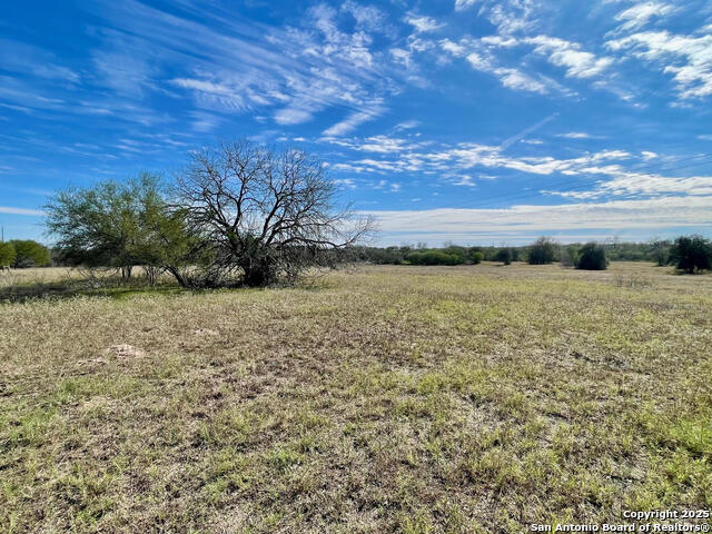 Details for Tract 4 County Road 342, Kenedy, TX 78119