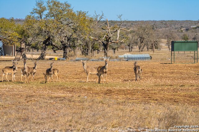 Image 10 of 18 For Lot 103 Oryx View Drive