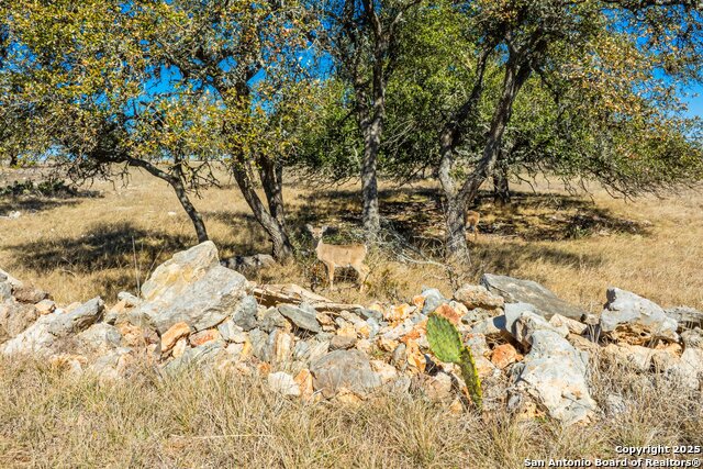 Image 6 of 18 For Lot 103 Oryx View Drive