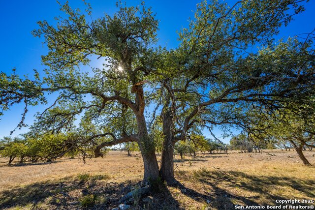 Image 9 of 18 For Lot 103 Oryx View Drive