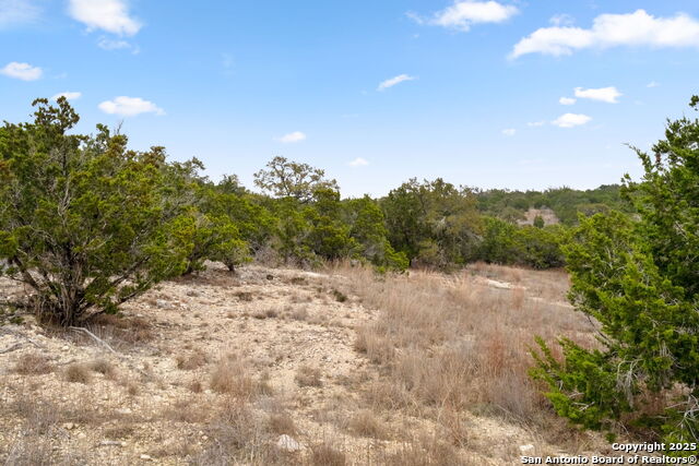 Image 11 of 13 For 1770 Paradise Parkway