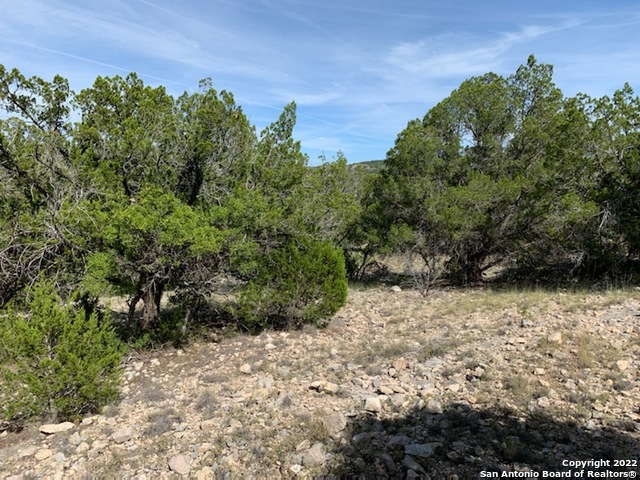 Listing photo id 1 for 0000 Oak Bend Ranch, Lot 34