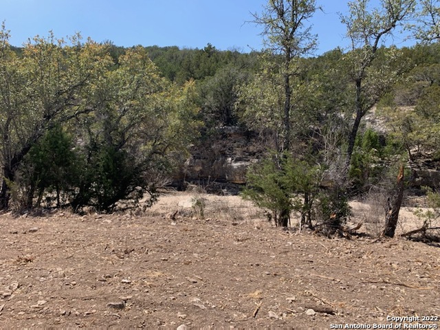 Listing photo id 2 for 0000 Oak Bend Ranch, Lot 34