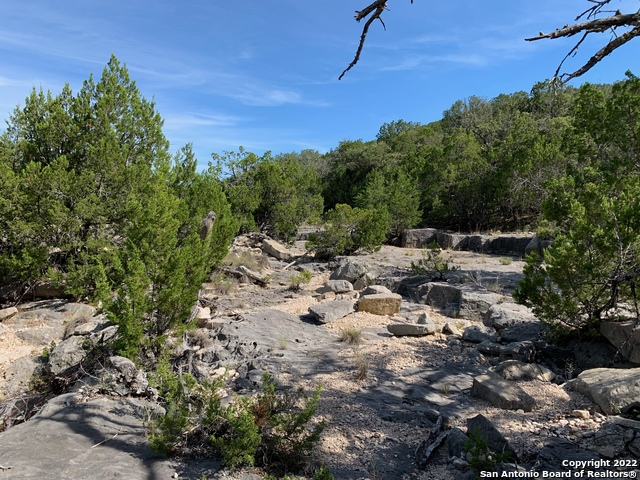 Listing photo id 4 for 0000 Oak Bend Ranch, Lot 34