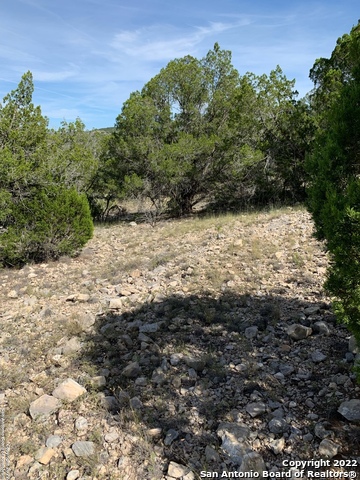 Listing photo id 6 for 0000 Oak Bend Ranch, Lot 34
