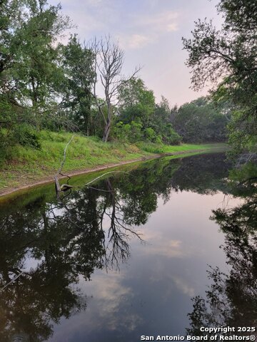 Image 11 of 28 For 1463 Whispering Woods Trail