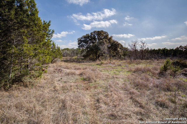 Image 13 of 28 For 1463 Whispering Woods Trail