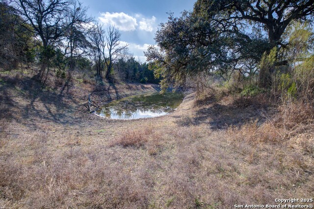 Image 9 of 28 For 1463 Whispering Woods Trail