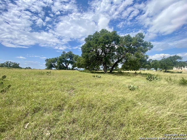 Image 4 of 12 For Lot 158 Cattlemans Crossing