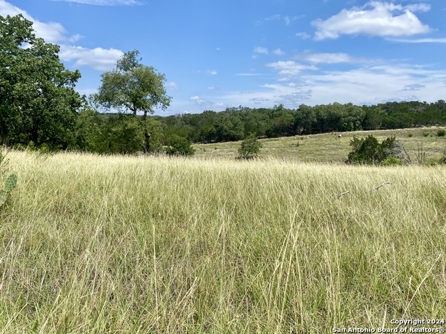 Image 5 of 12 For Lot 158 Cattlemans Crossing