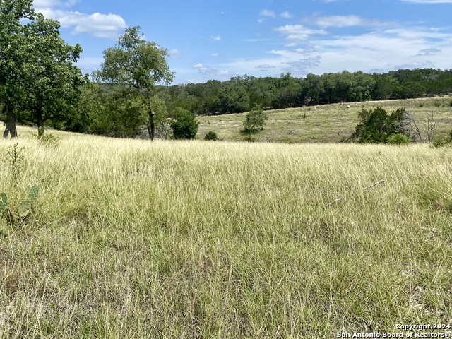 Image 6 of 12 For Lot 158 Cattlemans Crossing