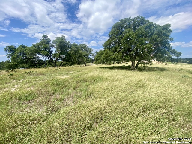 Image 7 of 12 For Lot 158 Cattlemans Crossing