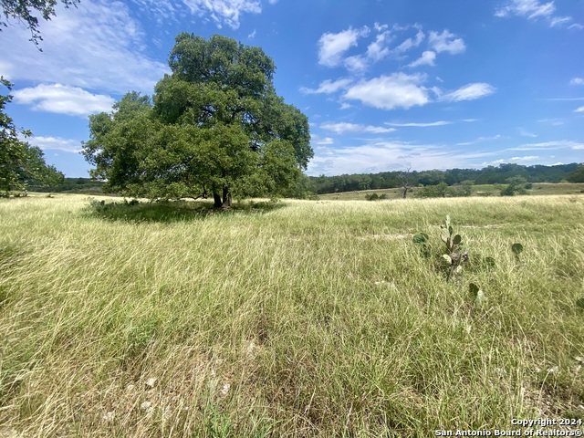 Image 8 of 12 For Lot 158 Cattlemans Crossing