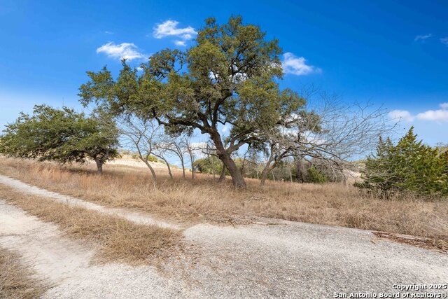 Image 6 of 17 For 3536 Comal Springs