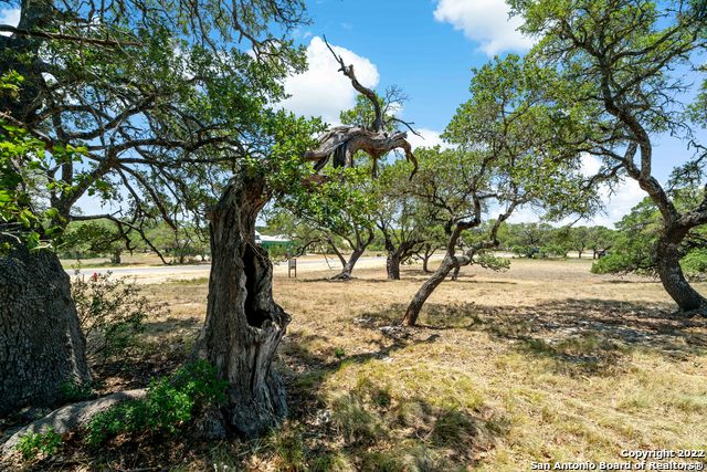 Image 5 of 24 For 974 Maximino Ridge