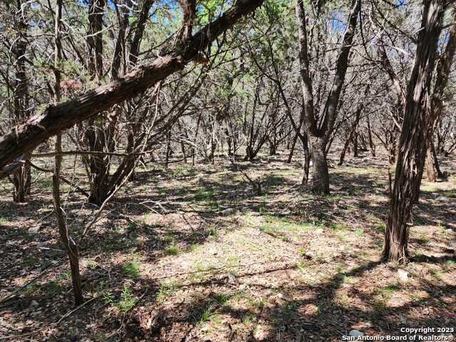 Listing photo id 8 for 5051 Fm 1863