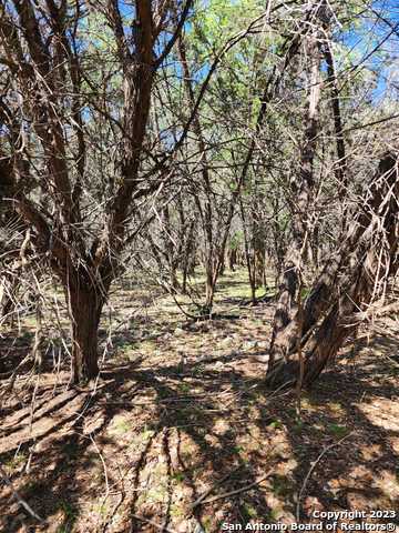 Listing photo id 9 for 5051 Fm 1863