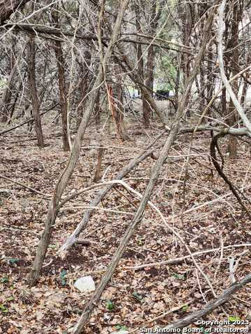Listing photo id 10 for 5051 Fm 1863