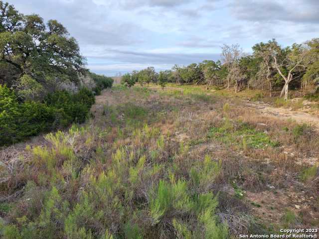 Listing photo id 11 for 5051 Fm 1863