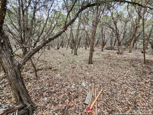 Listing photo id 12 for 5051 Fm 1863