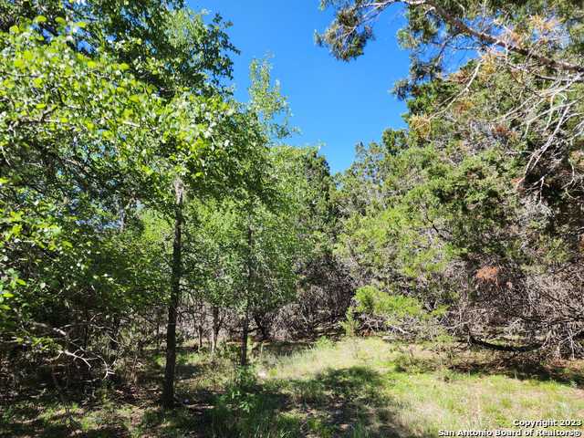 Listing photo id 0 for 5051 Fm 1863