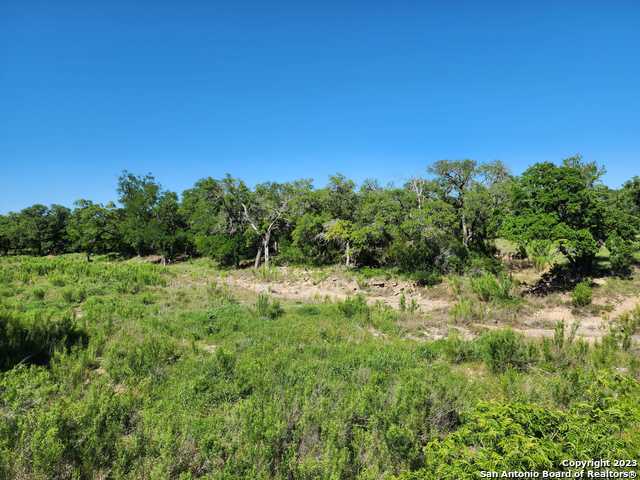 Listing photo id 2 for 5051 Fm 1863