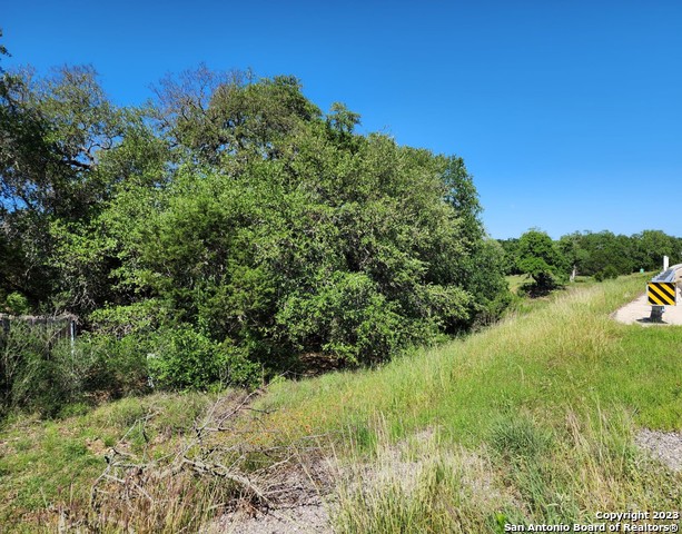 Listing photo id 3 for 5051 Fm 1863