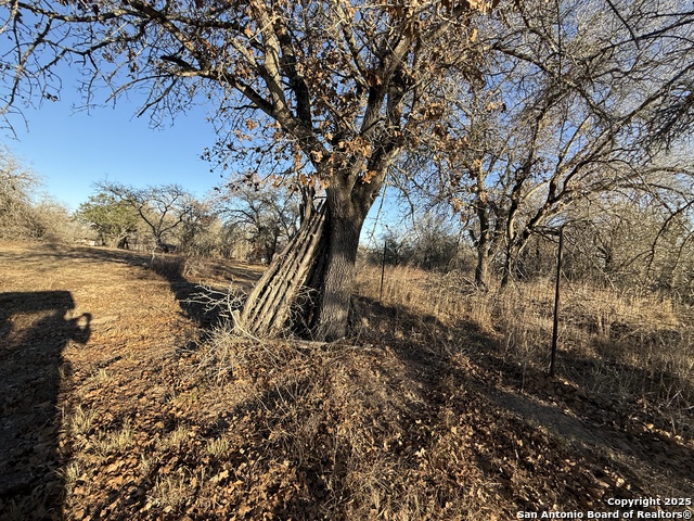 Image 9 of 14 For 165 Sanctuary Lane (tract 2)