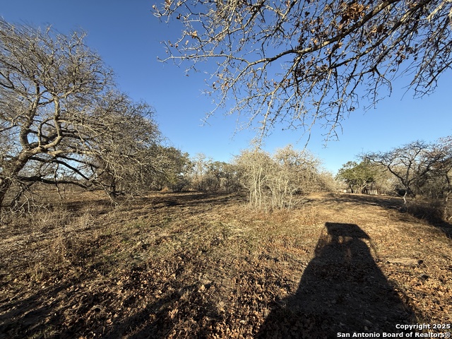 Image 12 of 32 For 165 Sanctuary Lane (tract 3)