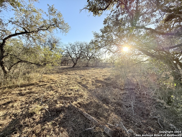 Image 18 of 32 For 165 Sanctuary Lane (tract 3)