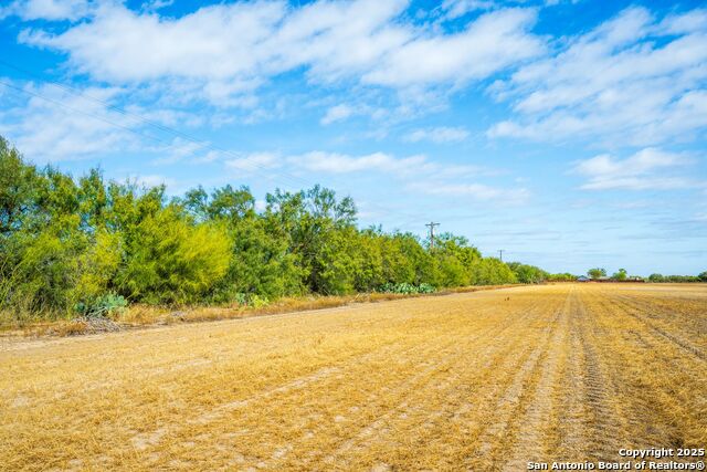 Listing photo id 4 for County Rd 4017 Cr 4017