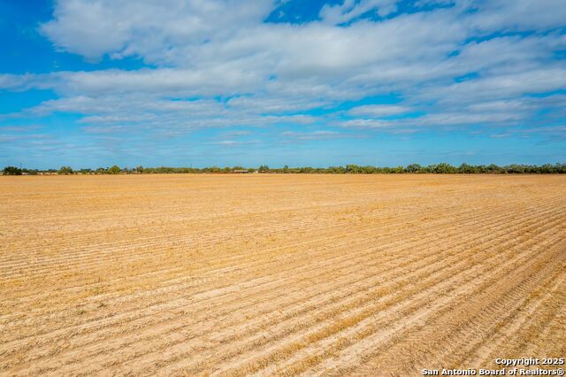 Listing photo id 6 for County Rd 4017 Cr 4017