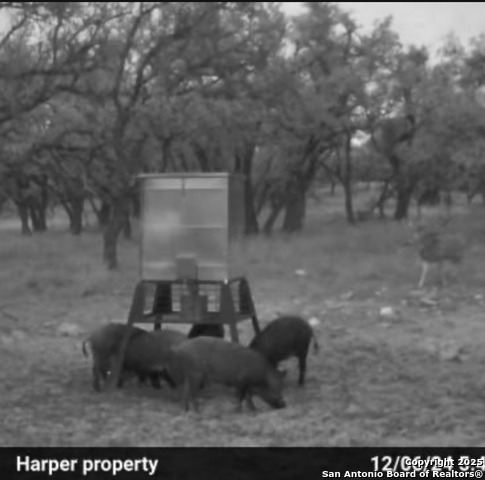 Image 26 of 29 For 0 Stevens Ranch Rd