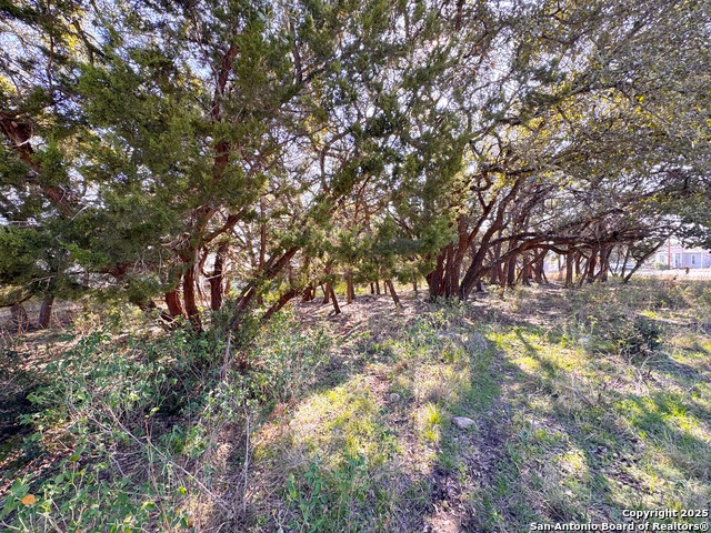 Listing photo id 5 for Tbd Westview Dr