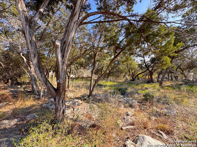 Listing photo id 6 for Tbd Westview Dr