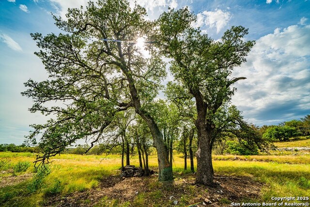 Image 2 of 15 For 326 Blue Oak Tr