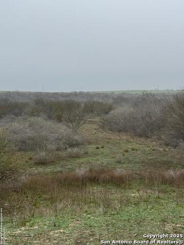 Details for 00 County Road 153 S, Kenedy, TX 78119