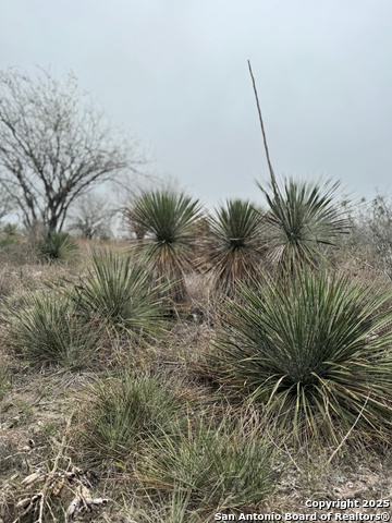 Listing photo id 8 for 00 County Road 153 S