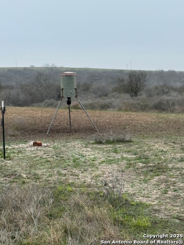 Listing photo id 10 for 00 County Road 153 S