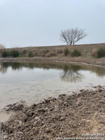 Listing photo id 12 for 00 County Road 153 S
