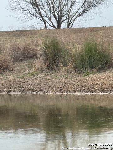 Listing photo id 13 for 00 County Road 153 S