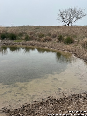 Listing photo id 15 for 00 County Road 153 S