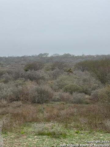 Listing photo id 17 for 00 County Road 153 S