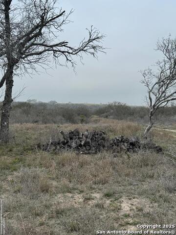 Listing photo id 2 for 00 County Road 153 S